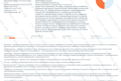 antiplagiat-file-010_2025-07-11_14-10-04