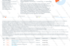 antiplagiat-file-017_2025-07-11_14-10-04