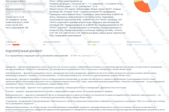 antiplagiat-file-021_2025-07-11_14-10-18