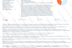 antiplagiat-file-025_2025-07-11_14-10-18
