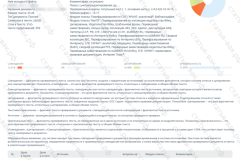 antiplagiat-file-026_2025-07-11_14-10-18