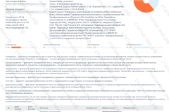antiplagiat-file-028_2025-07-11_14-10-33