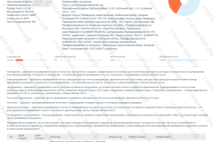 antiplagiat-file-029_2025-07-11_14-10-33