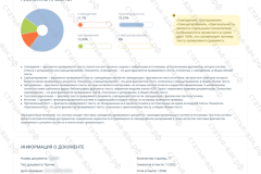 antiplagiat-file-035_2025-07-11_14-10-34
