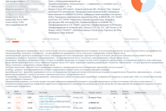 antiplagiat-file-055_2025-07-11_14-11-16