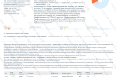 antiplagiat-file-056_2025-07-11_14-11-17