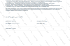 antiplagiat-file-060_2025-07-11_14-11-16