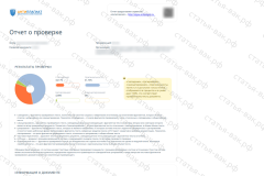 antiplagiat-file-061_2025-07-11_14-11-16